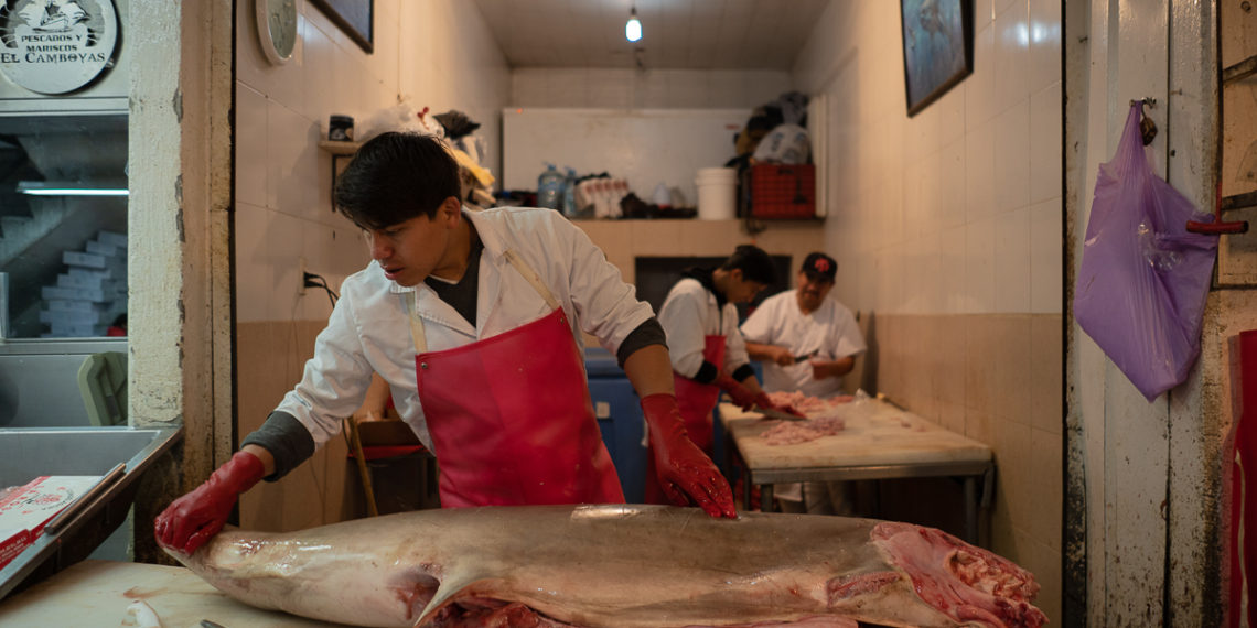 En Semana Santa, el mar se vacía en la Nueva Viga