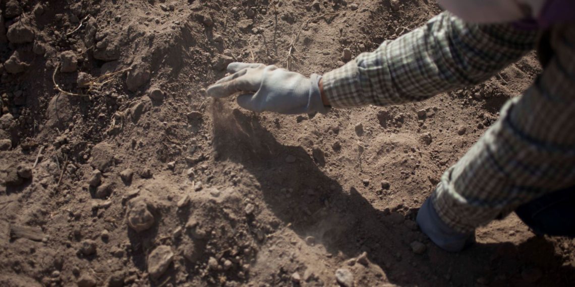 Hallan en México dos fosas clandestinas cada día