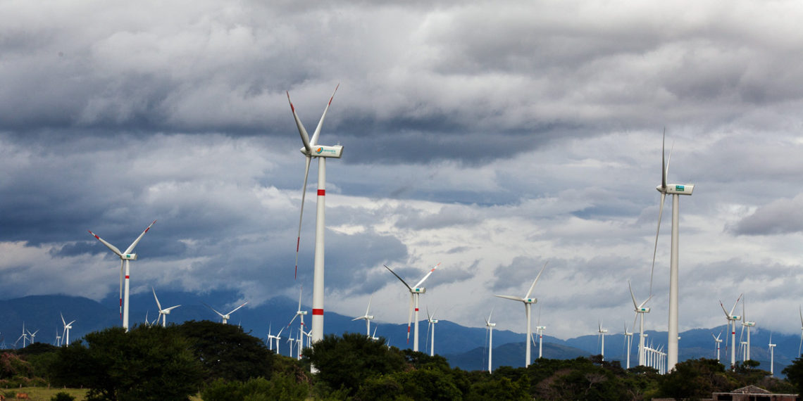 Quijotes contra empresas eólicas en México