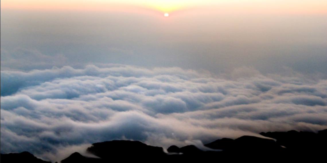 La cortina de humo
