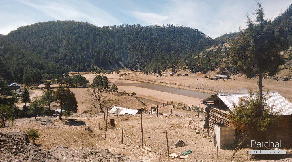 Desplazamiento en la Tarahumara: perder la paz, el patrimonio y la identidad